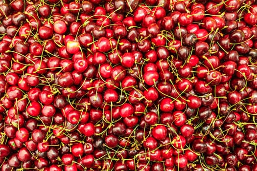 Top view on many red cherry displayed at food market
