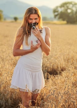 Young athletic woman in white dress, holds 2 months old Jack Russell terrier puppy on her hands, sunset lit wheat field in background.