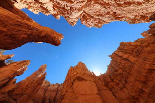 Rock Hoodoos in Bryce Canyon National Park in Utah. USA