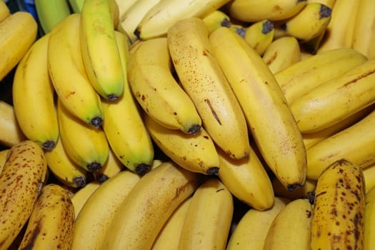 Banana Bunch on Farmers Market