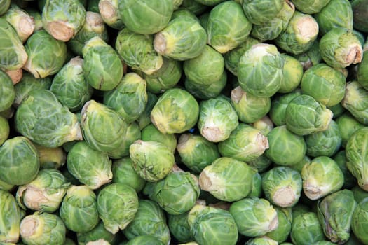 Fresh organic Brussels Sprouts on Farmers Market