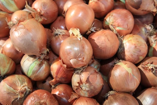 Fresh organic Onion on Farmers Market in Pollensa. Majorca
