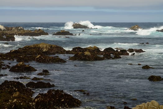 Asilomar State Marine Reserve Monterey Bay California