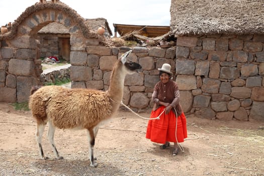 Woman with Guanaco in Sillustani. Peru. South America