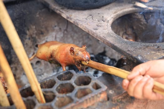 Guinea Pig roasted, traditional Meal in Peru. South America