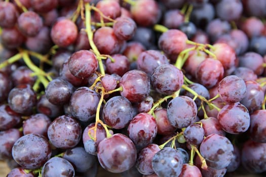 Fresh organic red Grapes on Farmers Market