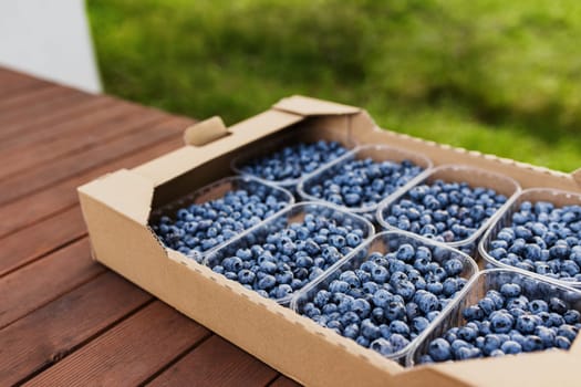 Box, crate or container with collected fresh blueberries. Berries agriculture business. Farmer cultivating and harvesting blueberry. Horticulture industry. Healthy eating. Wooden plank background