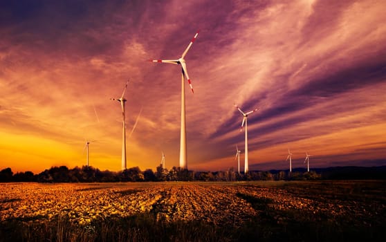 Wind turbines in the field