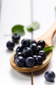 Fresh blueberries in wooden spoon
