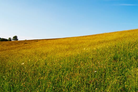 Field in Banska Stiavnica, Slovakia