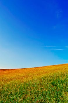 Field in Banska Stiavnica, Slovakia