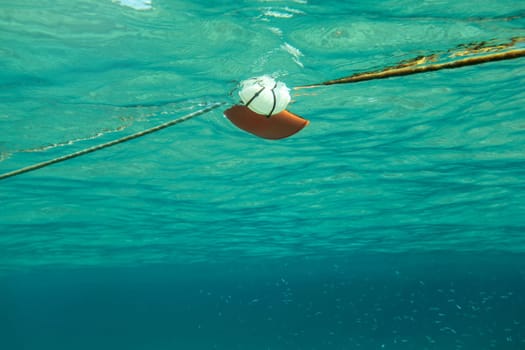 Swimming towards rope with red sea buoy, shoal of small fish on the right. Abstract marine background photographed underwater.