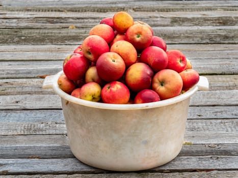 Fruit harvest of red apples in a plastic bowl on a wooden table. Apple harvest in orchard. Red Apple. Farm gardening. Agricultural business. Plastic utensils. Sunlight. Wooden board. Healthy food.