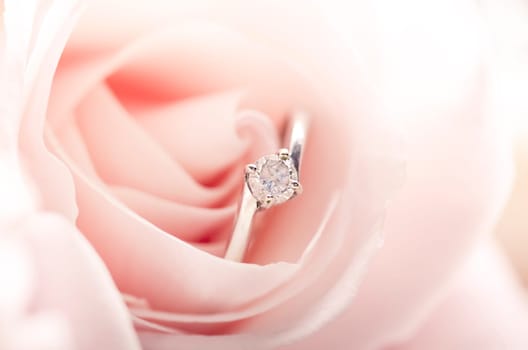 Engagement ring inside beautifl rose