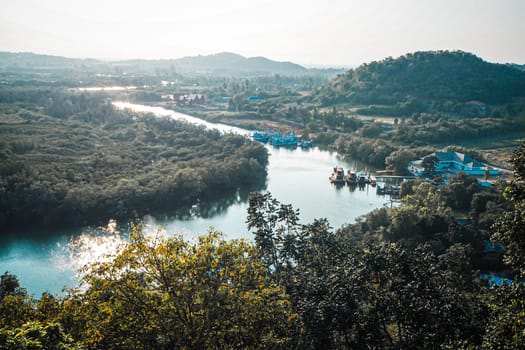 Aerial top view forest, Texture of  mangrove forest view from above nature mountain background