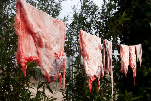 Hanging pieces of fat for lard. Traditional home slaughtering in a rural area, Extremadura, Spain