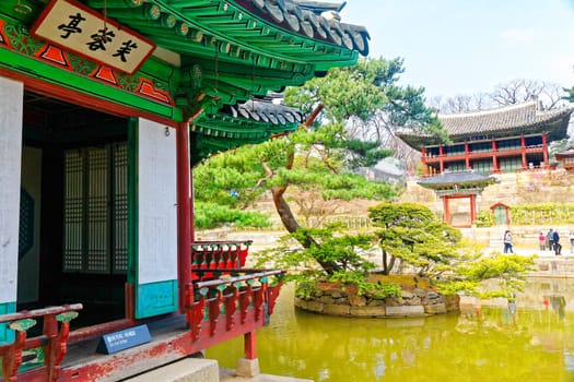 Secert gardan in Changdeokgung at day, seoul sourth koren.