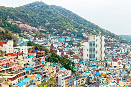 Gamcheon Culture Village, Busan, South Korea.