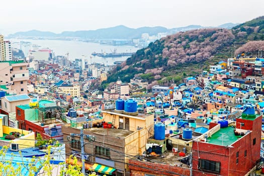 Gamcheon Culture Village, Busan, South Korea.