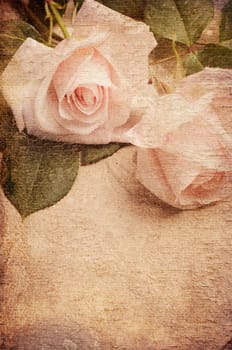 White Roses over textured background