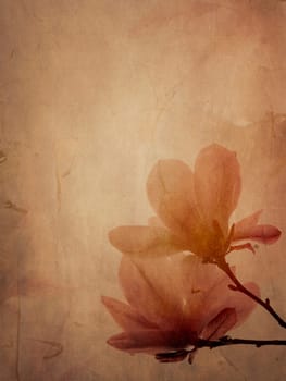 Beautiful magnolia flower on textured background
