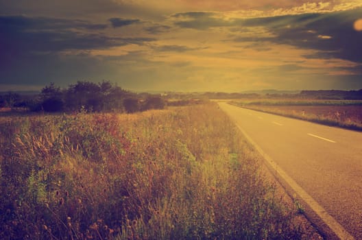Summer landscape in retro style