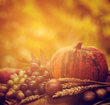 Autumn concept with seasonal fruits and vagetables