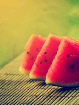 Watermelon slices in retro style