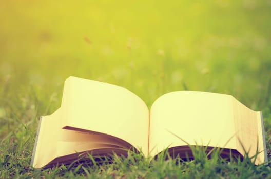 Open book with empty pages in the grass