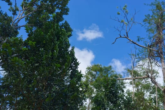 Beautiful sky at Khao yai National Park mountain valley .