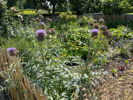 Cottage garden is a garden with many medicinal plants,flowers and various types of vegetables. Bauerngarten is a garden with many medicinal plants,flowers and different types of vegetables.