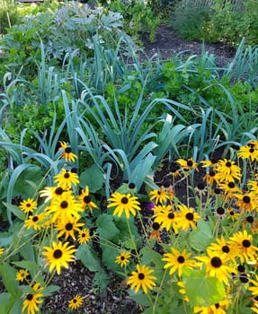 Cottage garden is a garden with many medicinal plants,flowers and various types of vegetables. Bauerngarten is a garden with many medicinal plants,flowers and different types of vegetables.