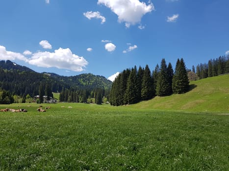 Alpine pastures in the Alps,here in Upper Bavaria,are among the most beautiful landscapes in Germany. Alpine pastures in the Alps,here in Upper Bavaria,are among the most beautiful landscapes in Germany.