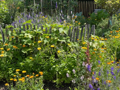 Cottage garden is a garden with many medicinal plants,flowers and various types of vegetables. Bauerngarten is a garden with many medicinal plants,flowers and different types of vegetables.