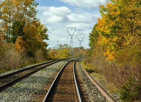 Railway tracks among the yellowed trees on autumn season day