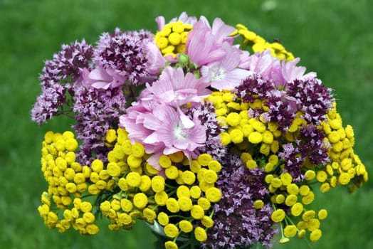 Bouquet of wildflowers ploughed on a wildflower meadow with many different flowers. Wildflower bouquet picked in a wildflower meadow with many different flowers.