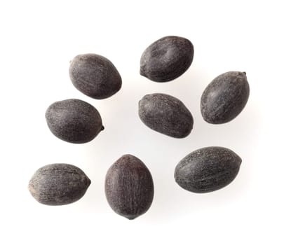 Lotus nucifera lotus seed is edible and can also be used for sowing. Molehills on lawns can leave unsightly marks. Molehills on lawns can leave unsightly marks