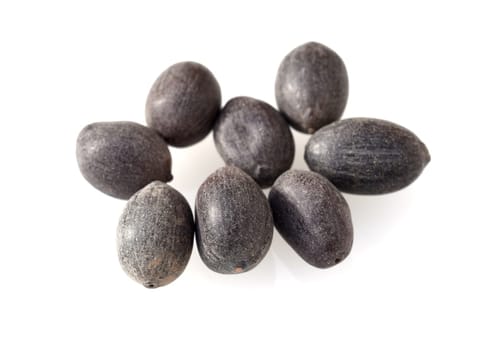 Lotus nucifera lotus seed is edible and can also be used for sowing. Molehills on lawns can leave unsightly marks. Molehills on lawns can leave unsightly marks