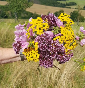 Bouquet of wildflowers ploughed on a wildflower meadow with many different flowers. Wildflower bouquet picked in a wildflower meadow with many different flowers.