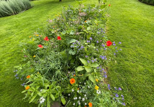 Wildflower meadows are vital flower meadows for insects. Wildflower meadows are flower meadows that are vital for insects.