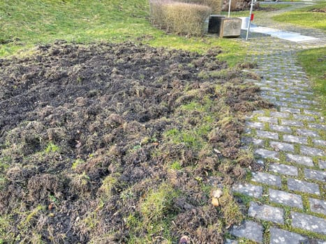 Wild boars can cause great damage in parks,sports grounds and gardens by storming. Wild boars can cause great damage to property in parks,sports fields and gardens by burrowing.