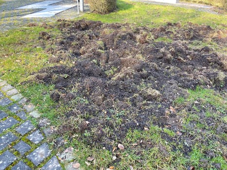 Wild boars can cause great damage in parks,sports grounds and gardens by storming. Wild boars can cause great damage to property in parks,sports fields and gardens by burrowing.