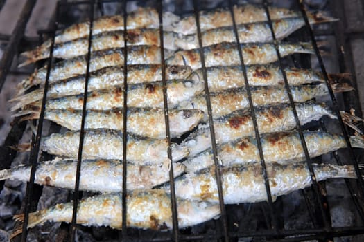 Fresh Sardines prepared on the Grill