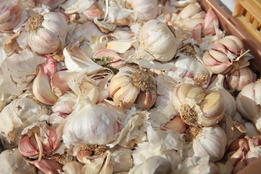 Fresh organic Garlic on Farmers Market in Pollensa. Majorca