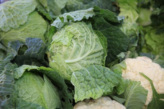Fresh organic Cauliflower on Farmers Market