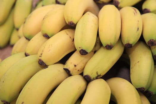 Bananas