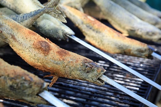 Fresh Mackerel on Stick at Barbecue Party. Germany
