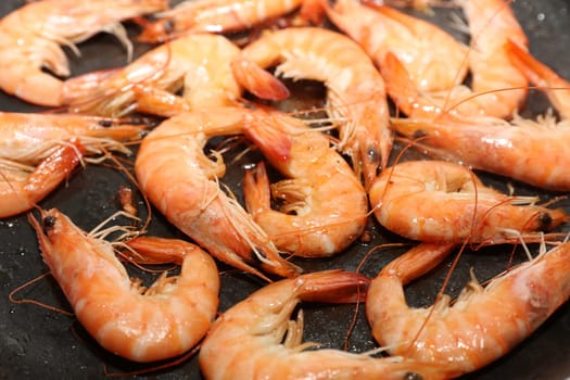 Fresh Shrimps in Olive Oil with Garlic