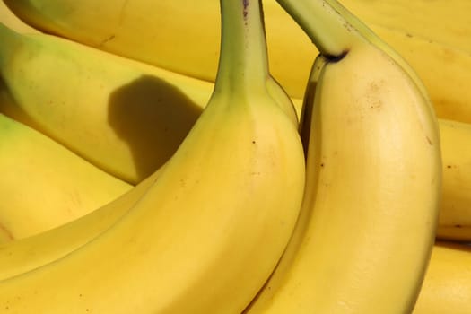 Bananas