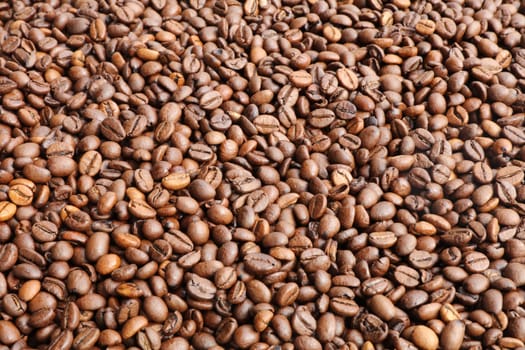 Coffee Beans